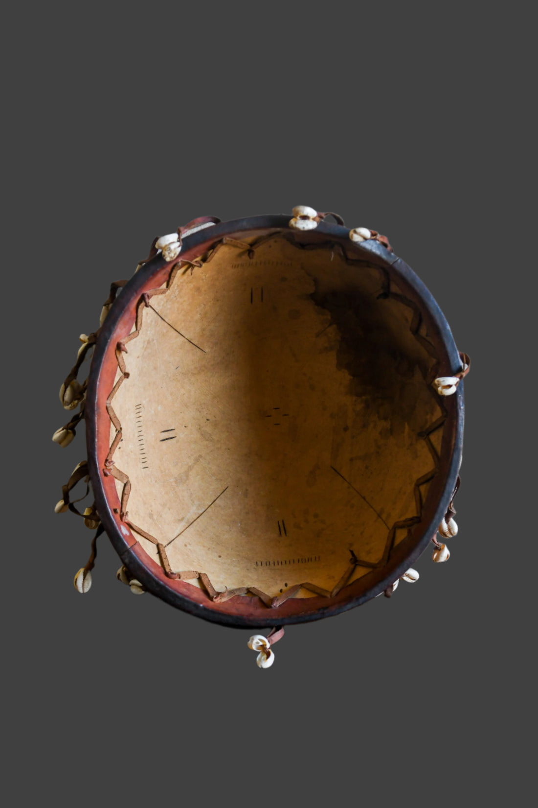African Calabash Cowrie Bowl – African Plural Art